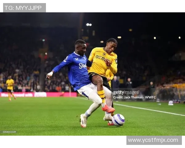 埃弗顿主场迎战狼队全力争胜期待精彩对决 埃弗顿主场迎战狼队全力争胜期待精彩对决